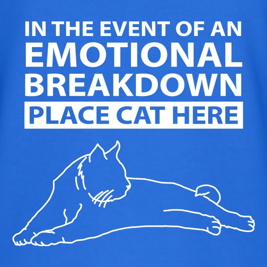 In Case Of Emotional Breakdown Place Cat Here t shirt